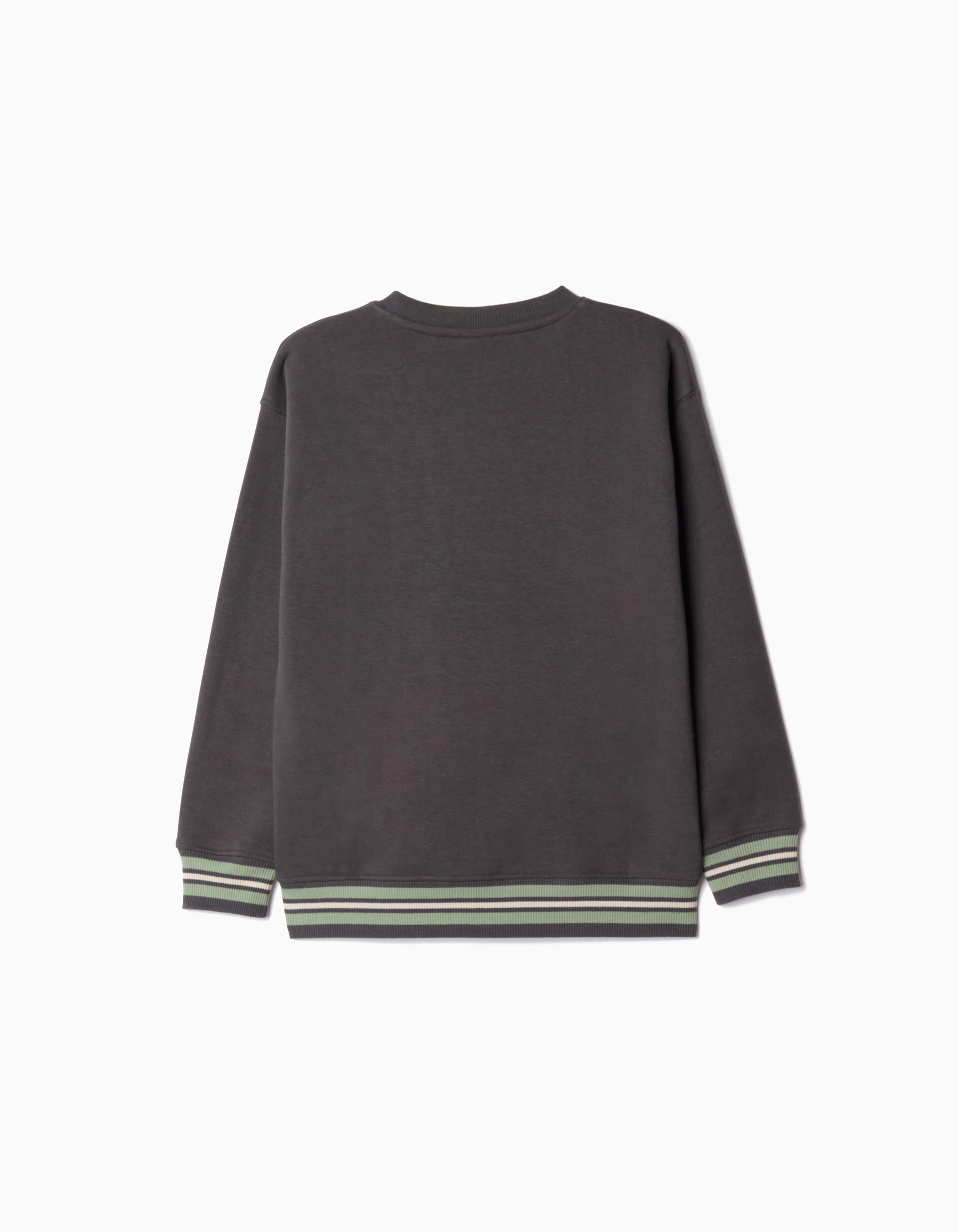 Comprar Online Sweatshirt de Felpa, Menino, Cinzento Escuro