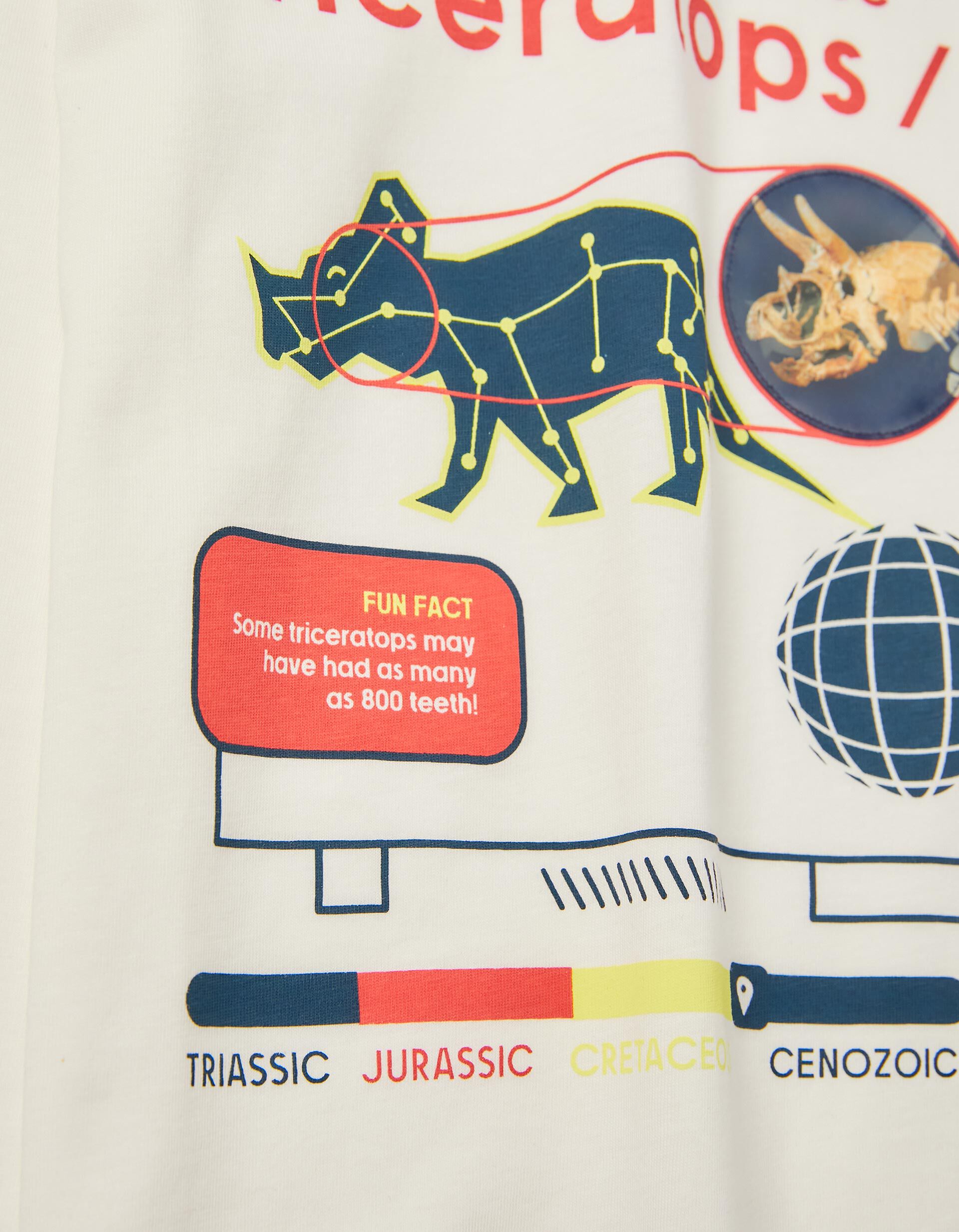 Comprar Online T-shirt de Manga Comprida Algod&atilde;o para Menino 'Dinossauro', Branco