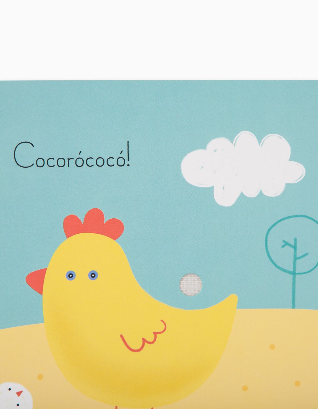 Livro Da Quinta Edicare 12M+