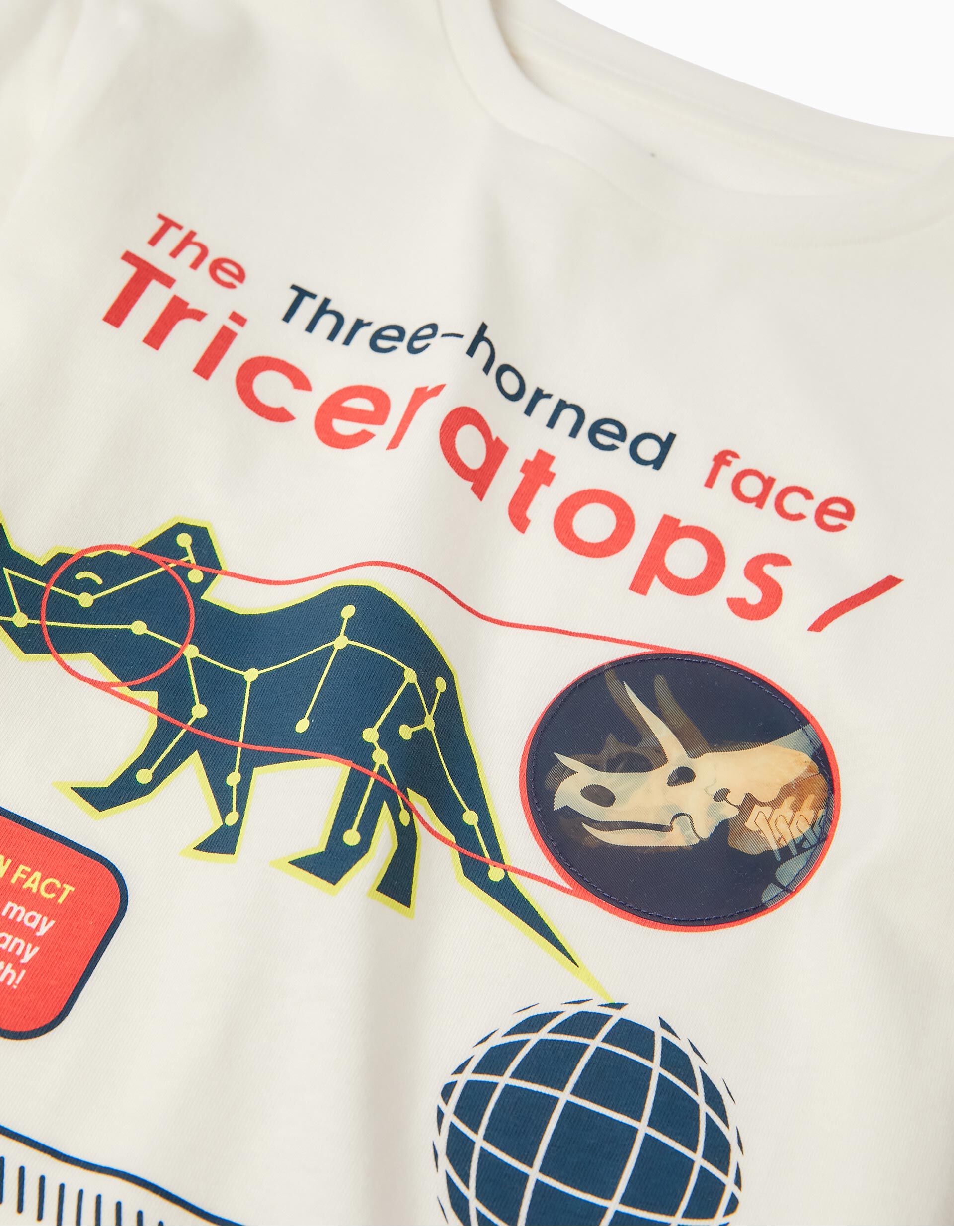 Comprar Online T-shirt de Manga Comprida Algod&atilde;o para Menino 'Dinossauro', Branco