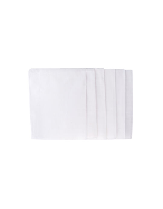 Comprar Online Pack 6 Fraldas Musselina 65x65 cm Zy Baby